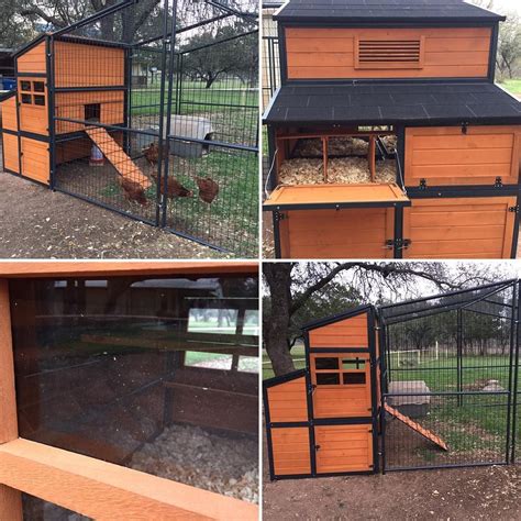 Contact information for aktienfakten.de - Large Metal Chicken Coop Walk-in Poultry Cage Heavy Duty Chicken Runs Hen House for Yard with Waterproof and Anti-UV Cover for Outdoor Farm Use (10’ W x 13’ L x 6.5’ H) 10. 100+ bought in past month. $10999 ($1.39/Pound) Typical: $129.99.